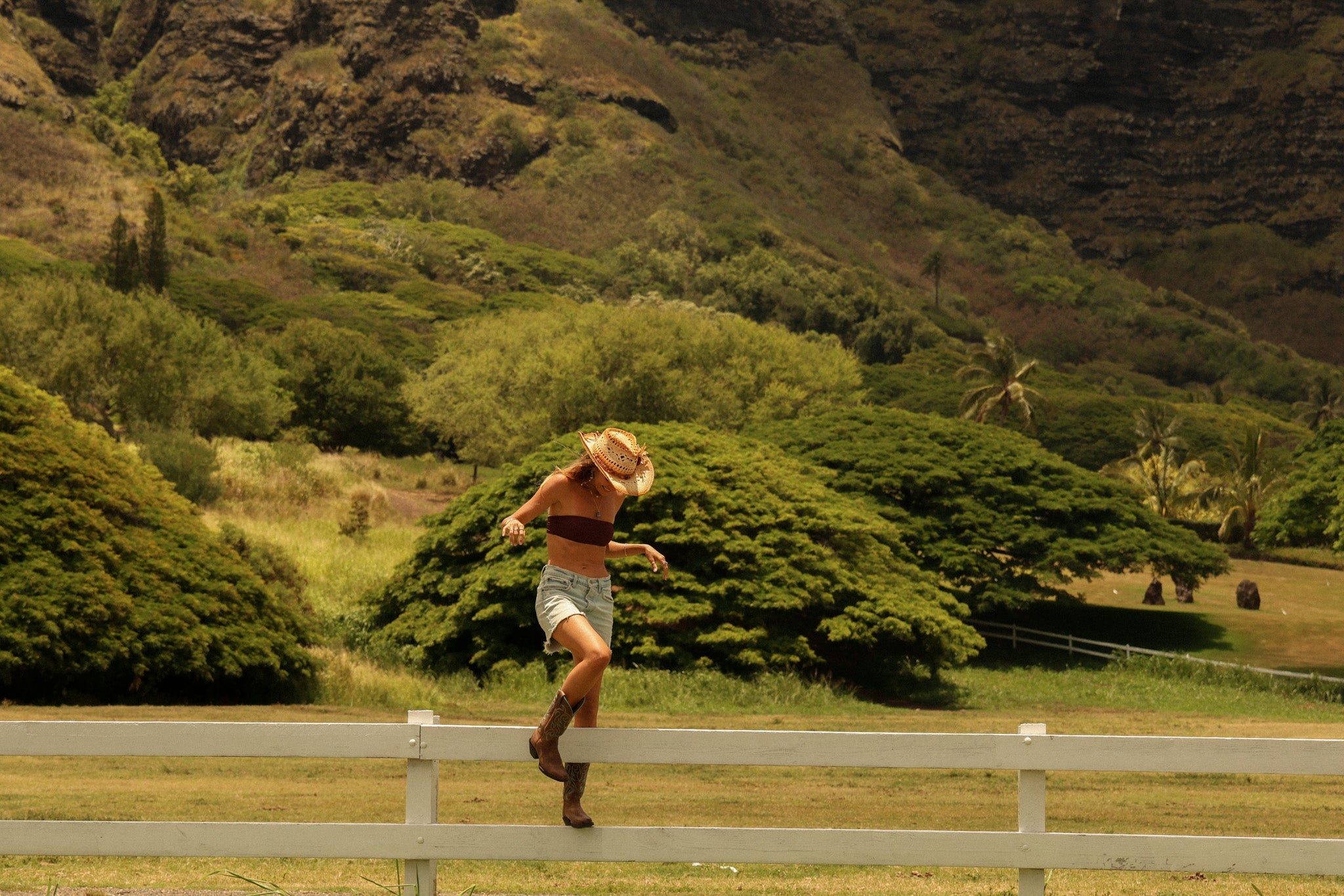 Hawi and Rose Collection: Big Island Beginnings