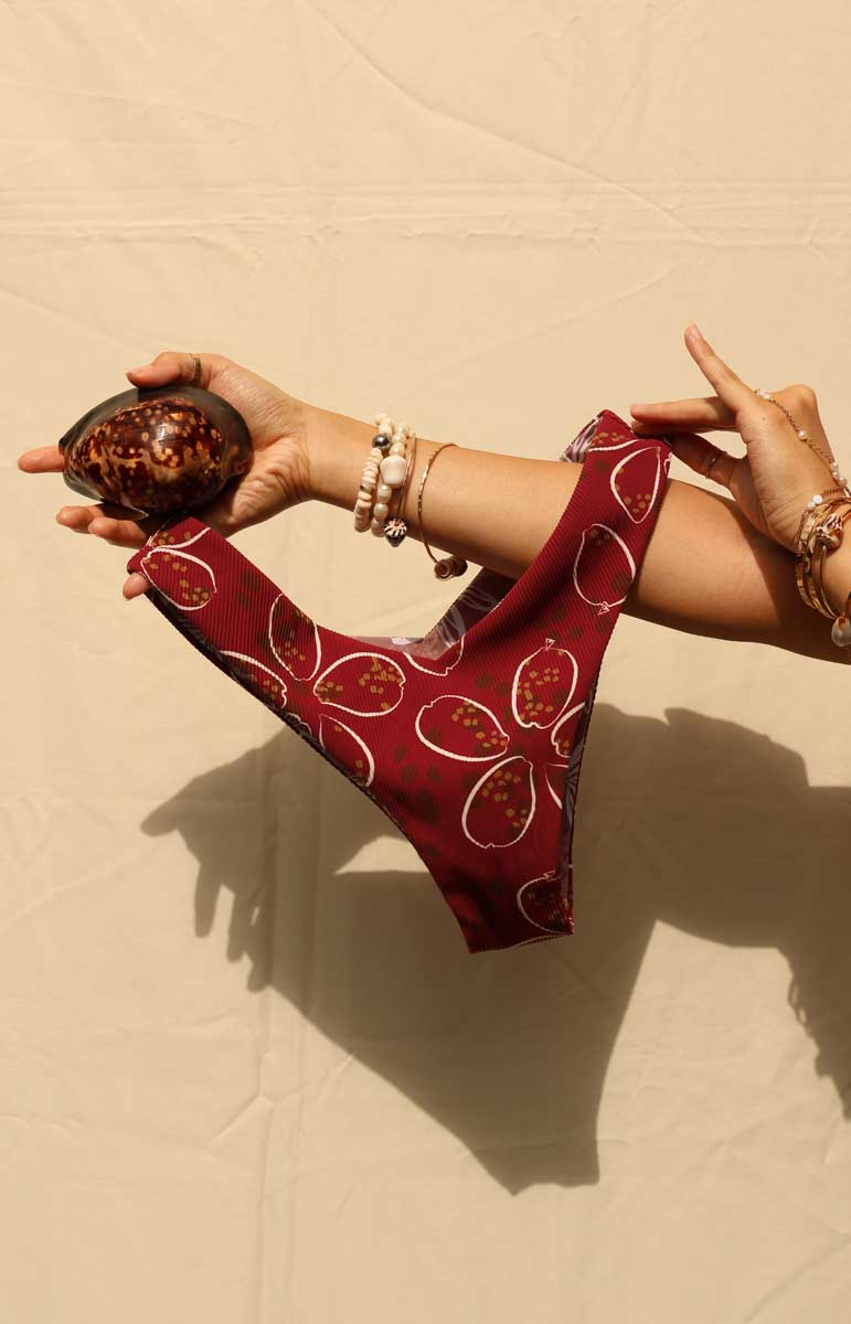 tai swim kiana bottom in cowry maroon red shell print swimsuit bottom